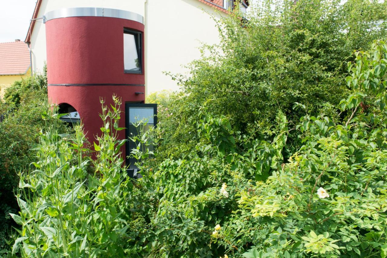 Das Alte Kino In Barth - Das Gartenhaus Esterno foto